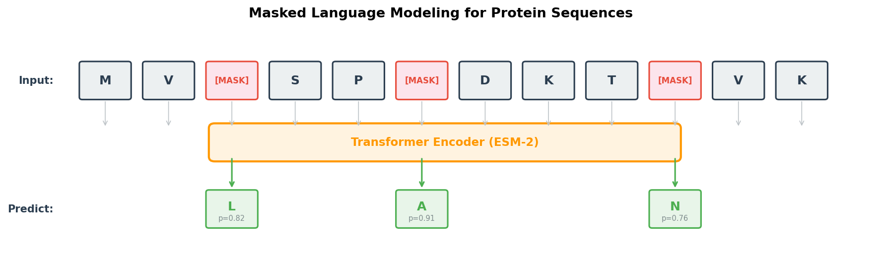 Masked language modeling for protein sequences