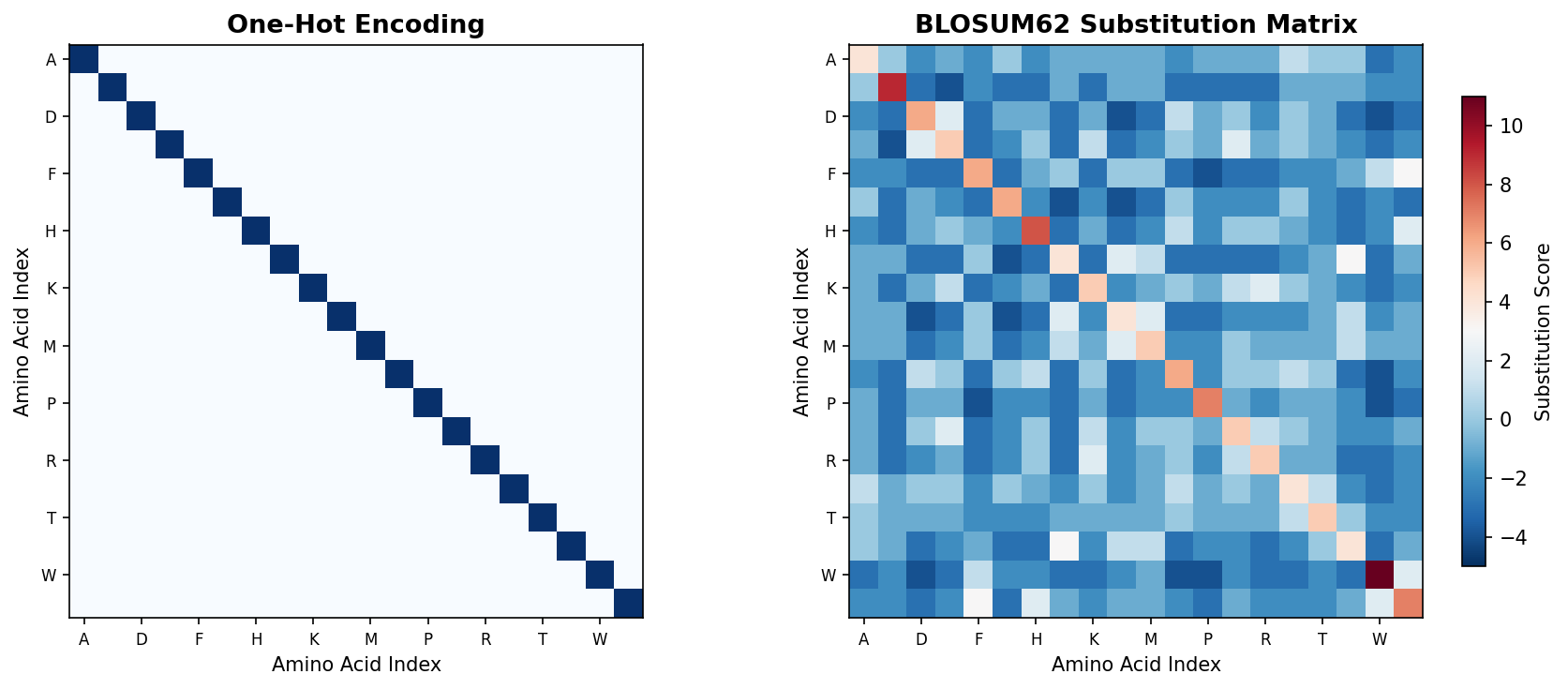 One-hot encoding vs BLOSUM62 substitution matrix