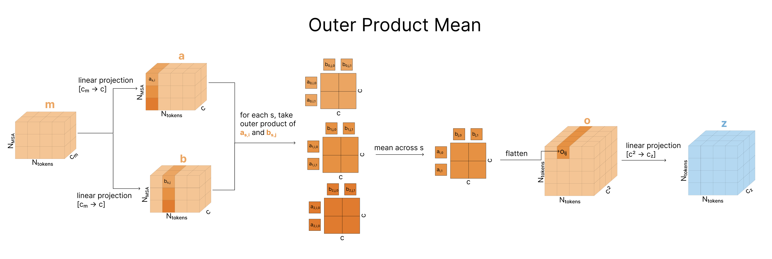 Outer product mean: computing pairwise evolutionary correlations from MSA columns