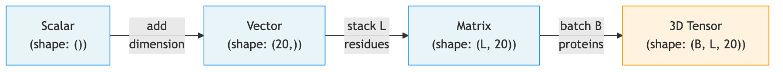 Tensor dimensions from scalar to 3D tensor