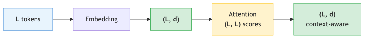 Transformer pipeline: L integer tokens through embedding, attention, and N transformer blocks, preserving (L, d) shape throughout