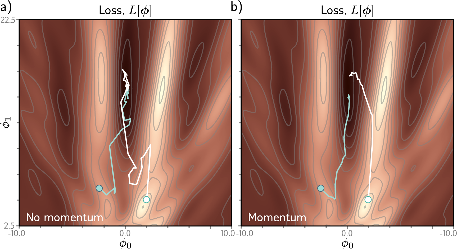 Momentum and Nesterov momentum trajectories