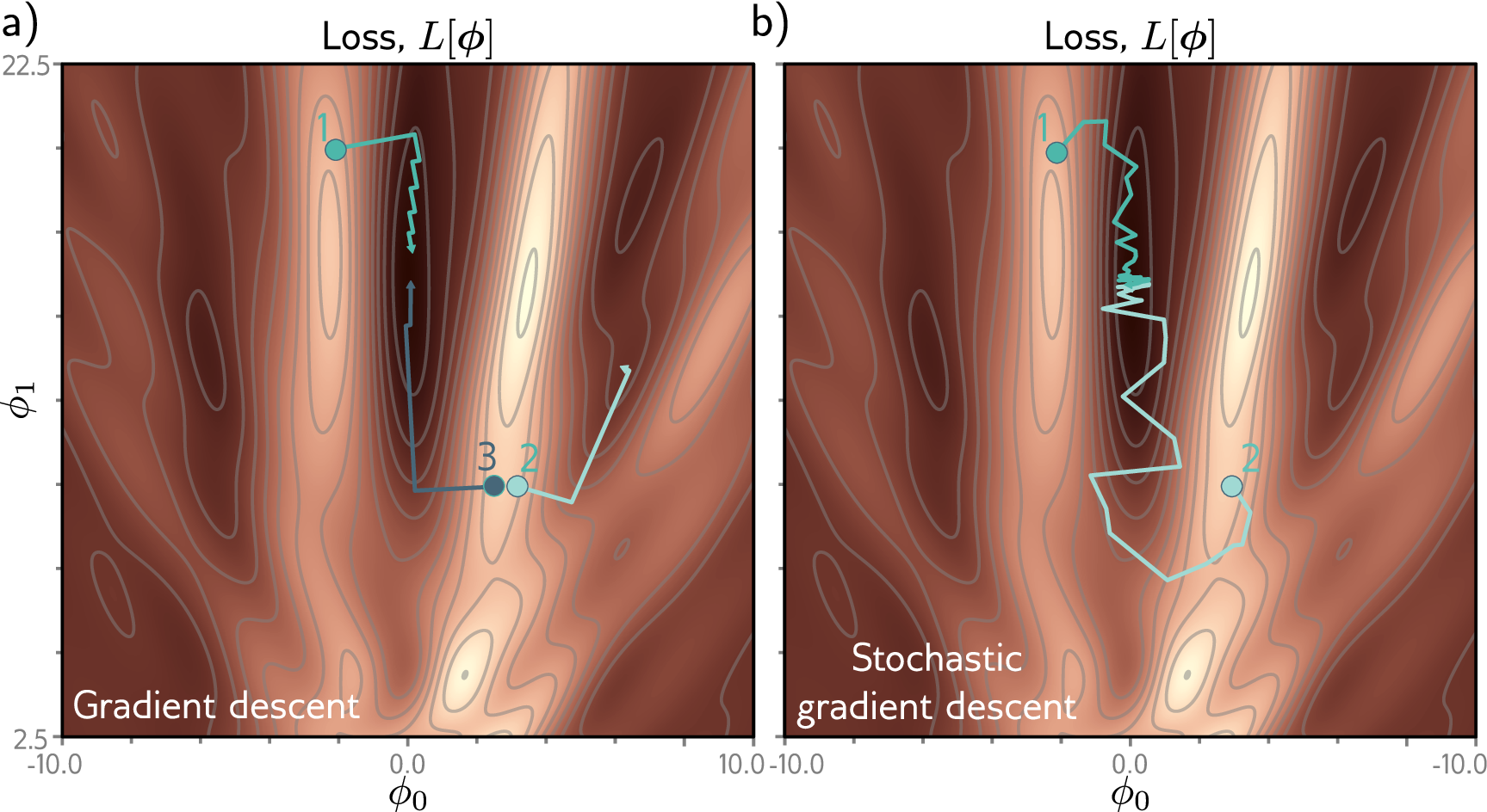 Gradient descent vs stochastic gradient descent trajectories